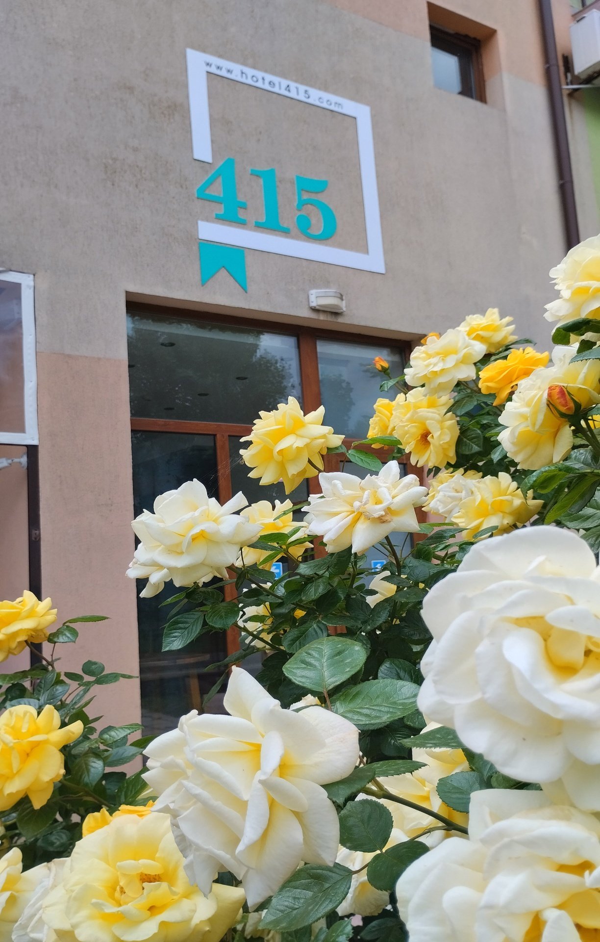 415 Hostel